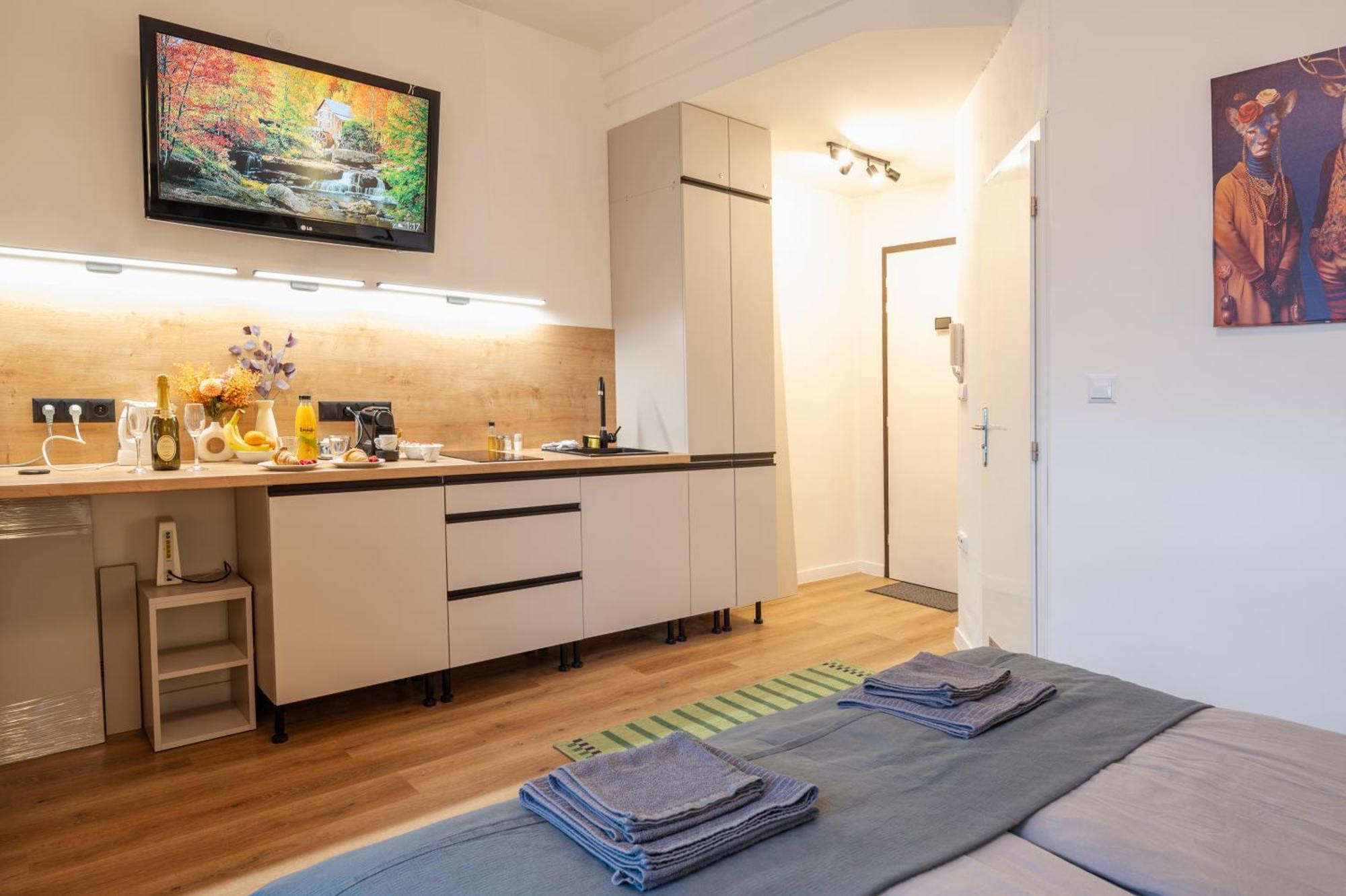 Modern Apartment In Historic City Center Old Town براتسيلافا المظهر الخارجي الصورة